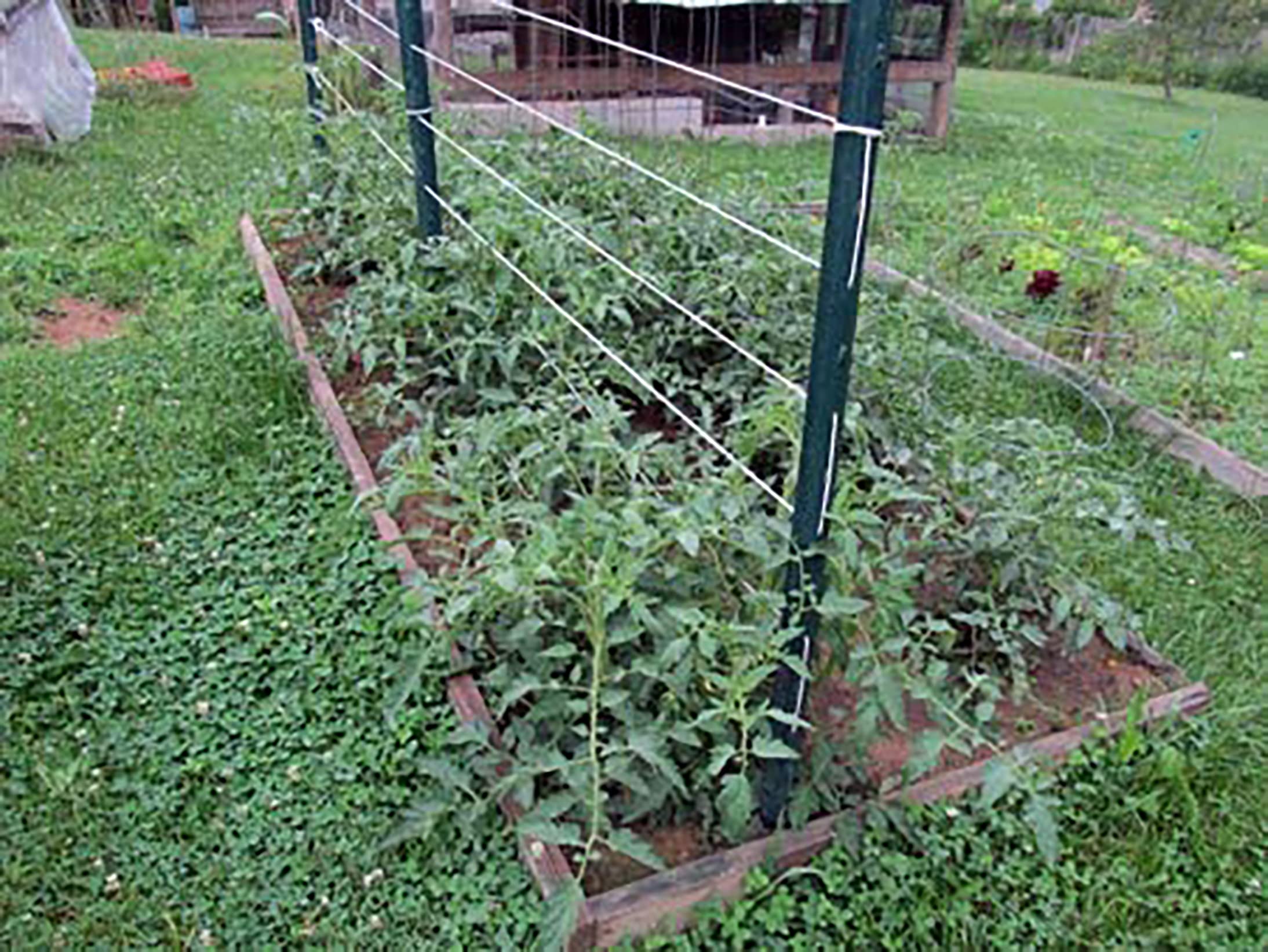 IRRIGATION-MART Tomato Tying Garden Twine 6300ft spool view