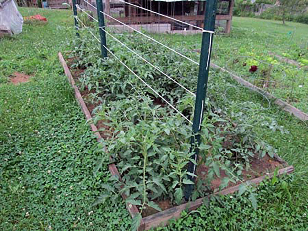 IRRIGATION-MART Tomato Tying Garden Twine 6300ft spool view