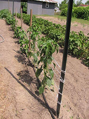 IRRIGATION-MART Tomato Tying Garden Twine 6300ft with belt loop slots
