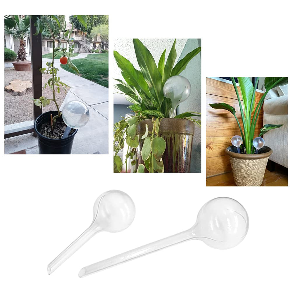 Irrmshr self-watering bulb packaging and details