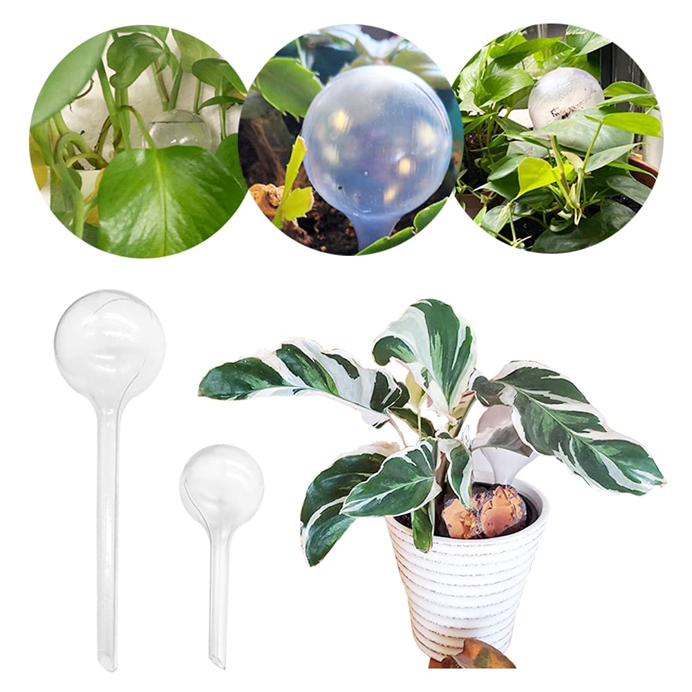 Irrmshr self-watering bulbs in use with potted plants