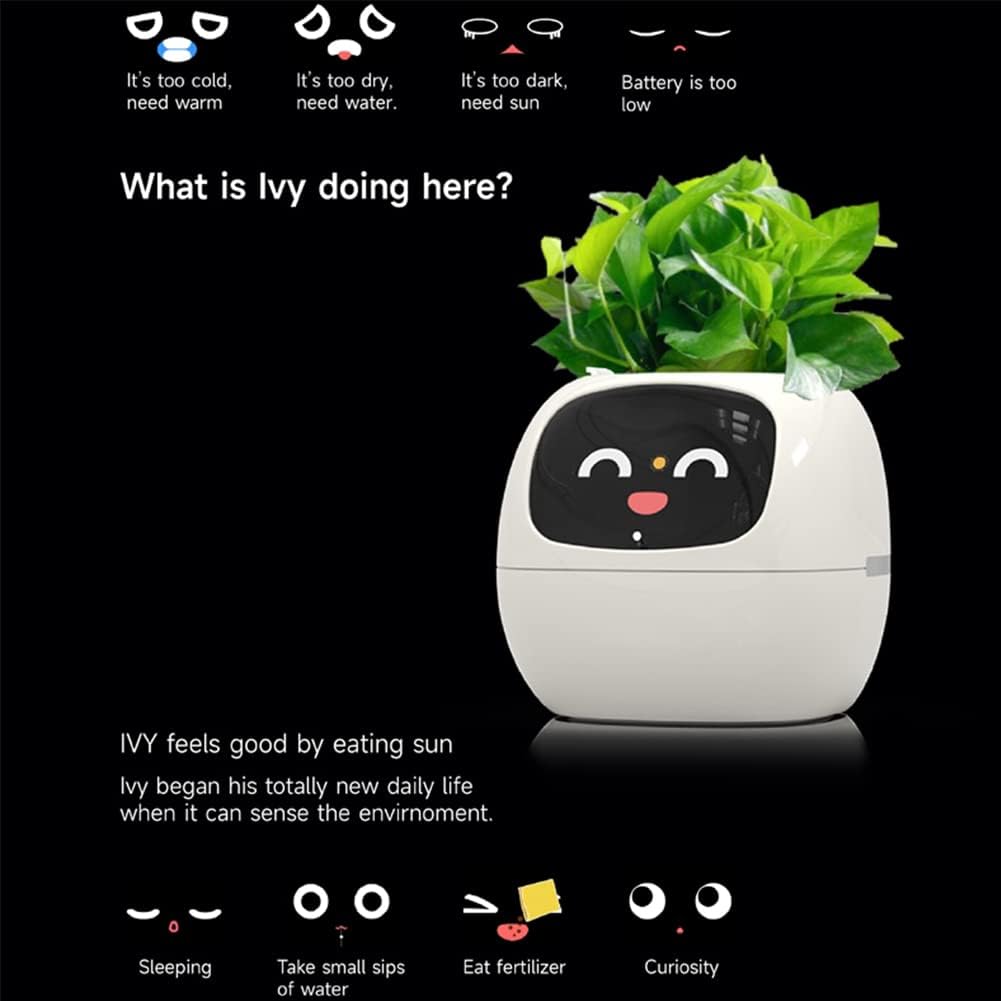 Itigoitie Smart Flowerpot AI Planter demonstrating interactive features
