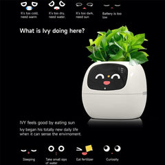 Itigoitie Smart Flowerpot AI Planter demonstrating interactive features