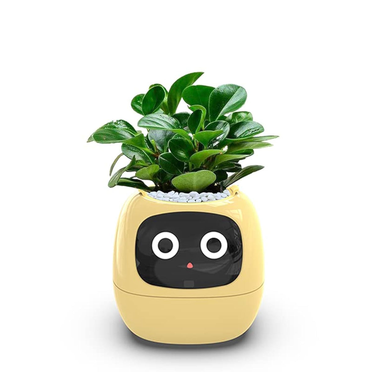 Itigoitie Smart Flowerpot AI Planter in yellow color side view
