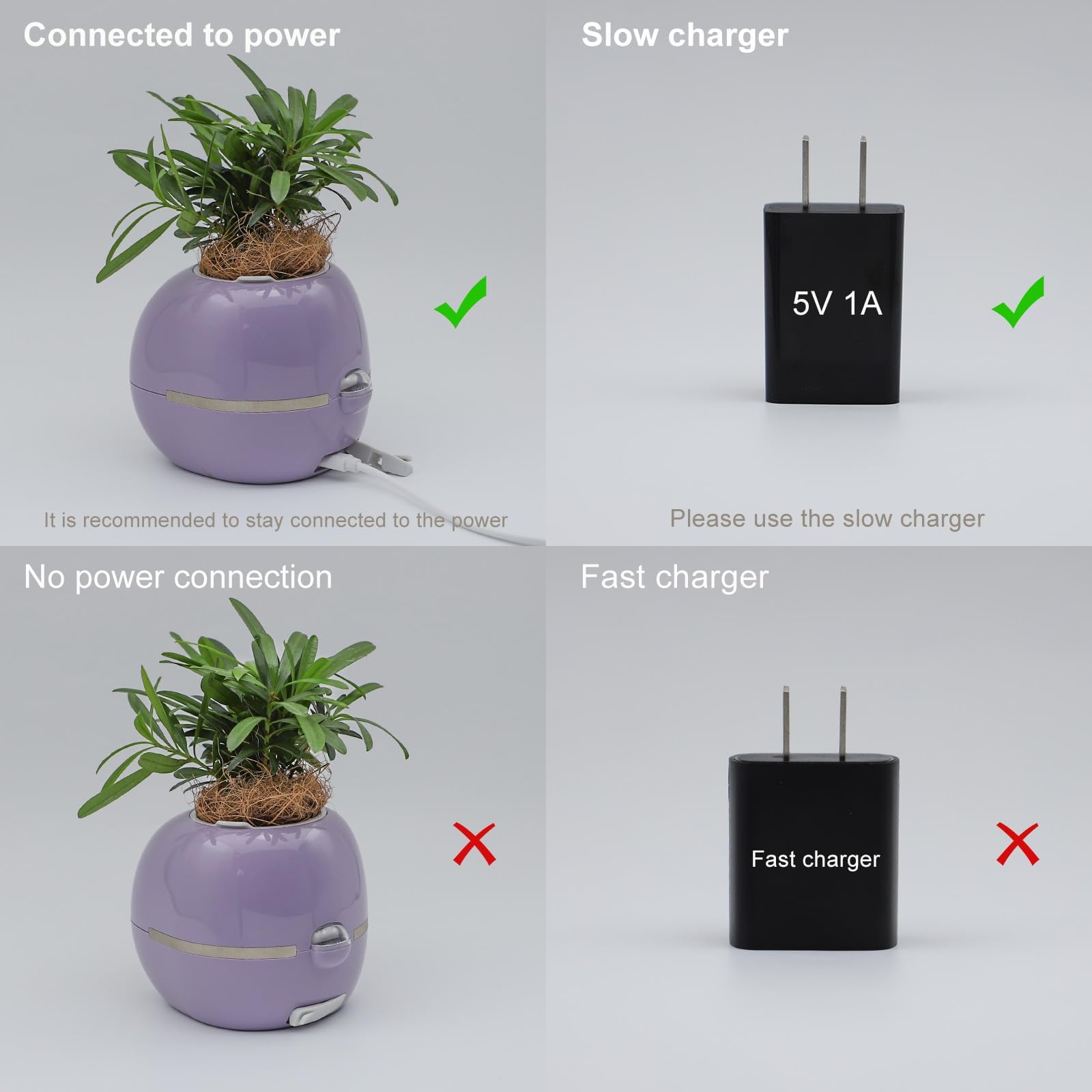 Itigoitie Smart Flowerpot AI Planter with customized photos and videos
