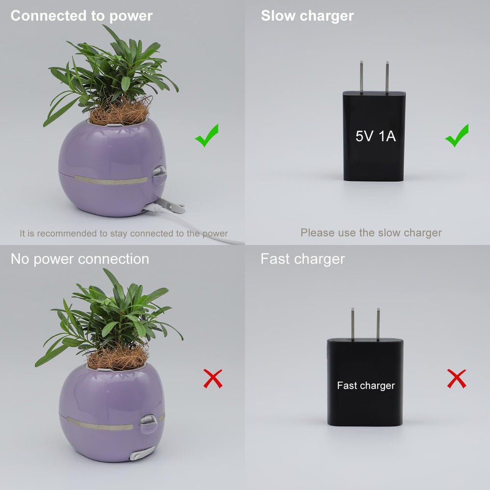 Itigoitie Smart Flowerpot AI Planter with customized photos and videos