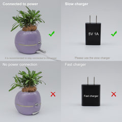 Itigoitie Smart Flowerpot AI Planter with customized photos and videos