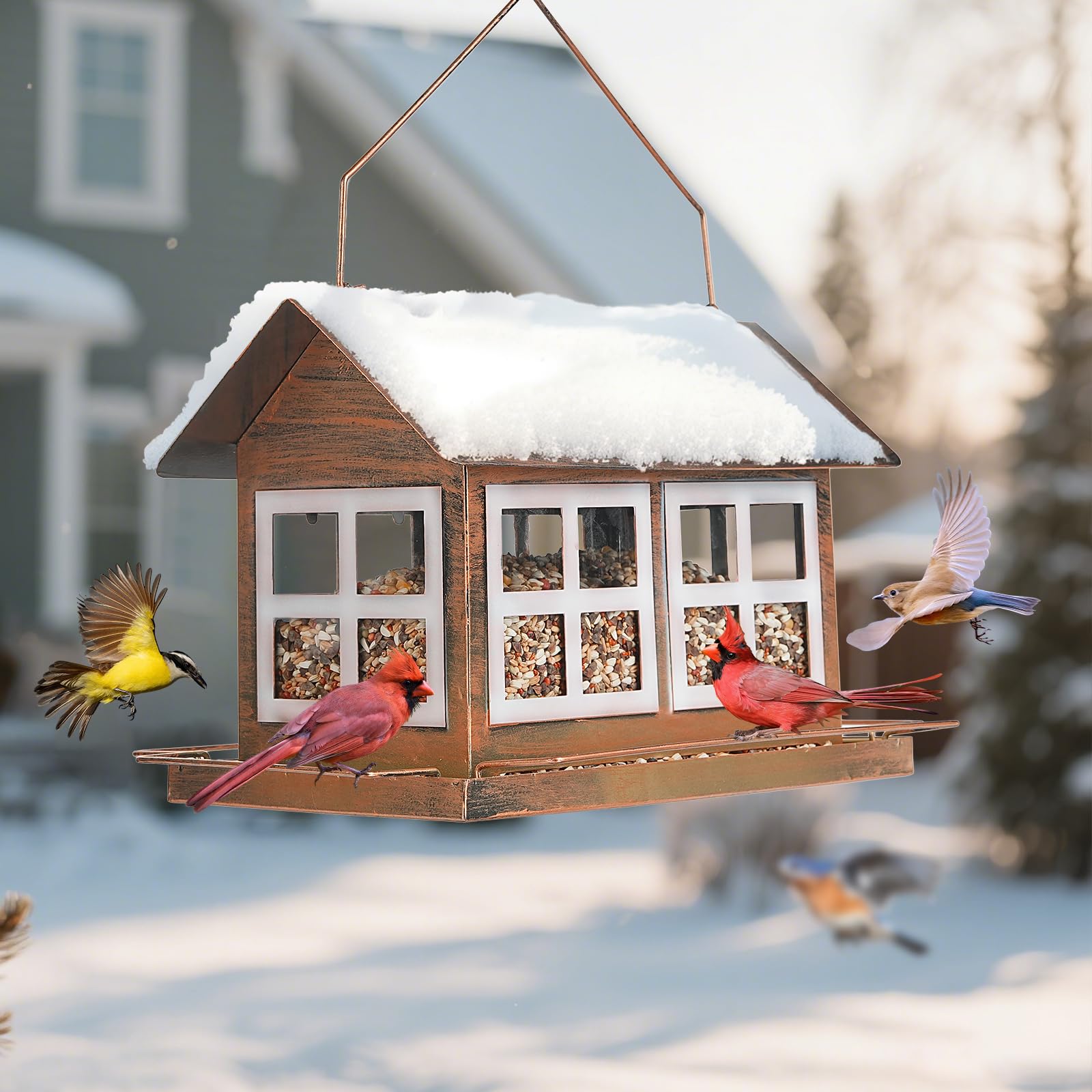IWNTWY Bird Feeder in use with birds feeding