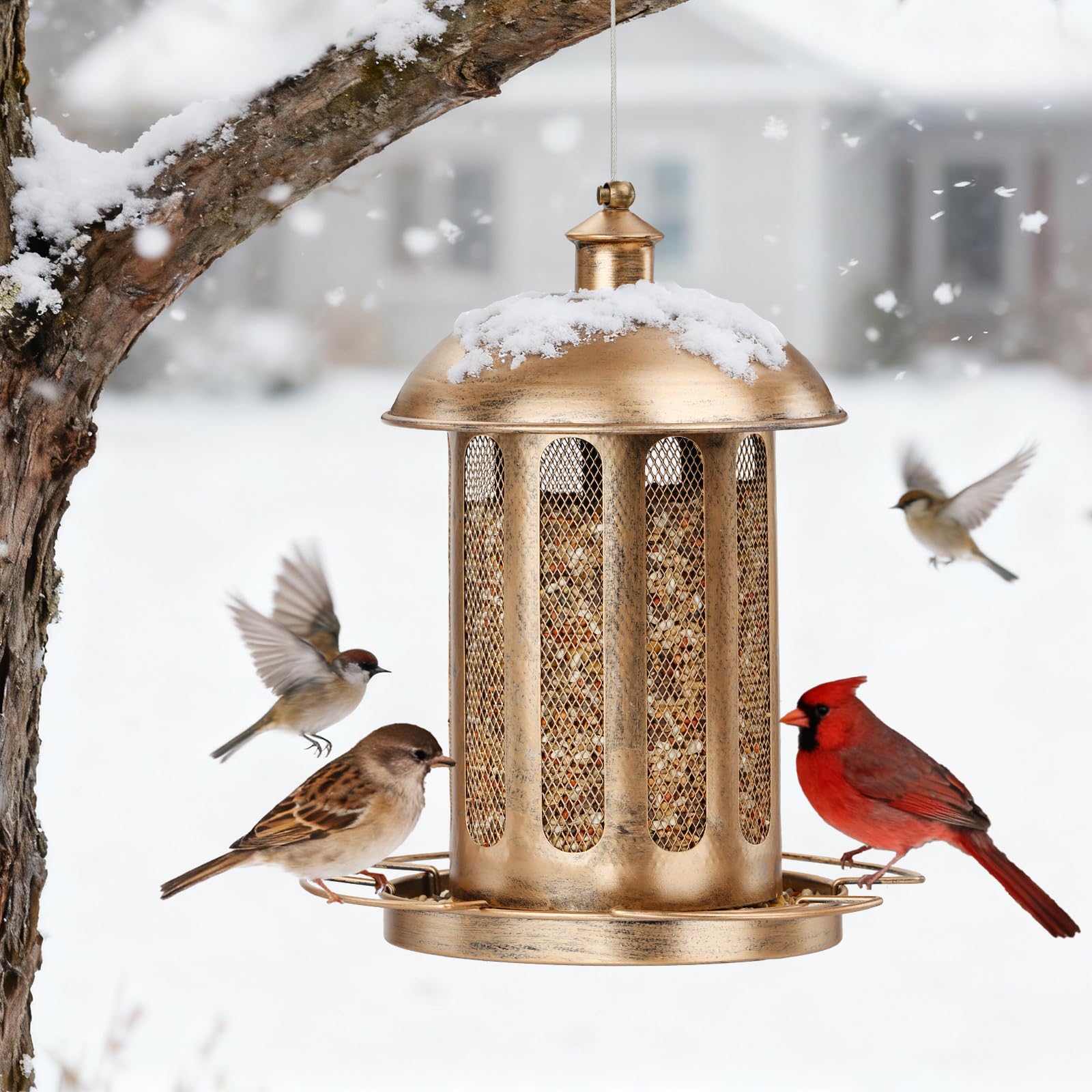 IWNTWY Bird Feeder showing drainage holes at the bottom
