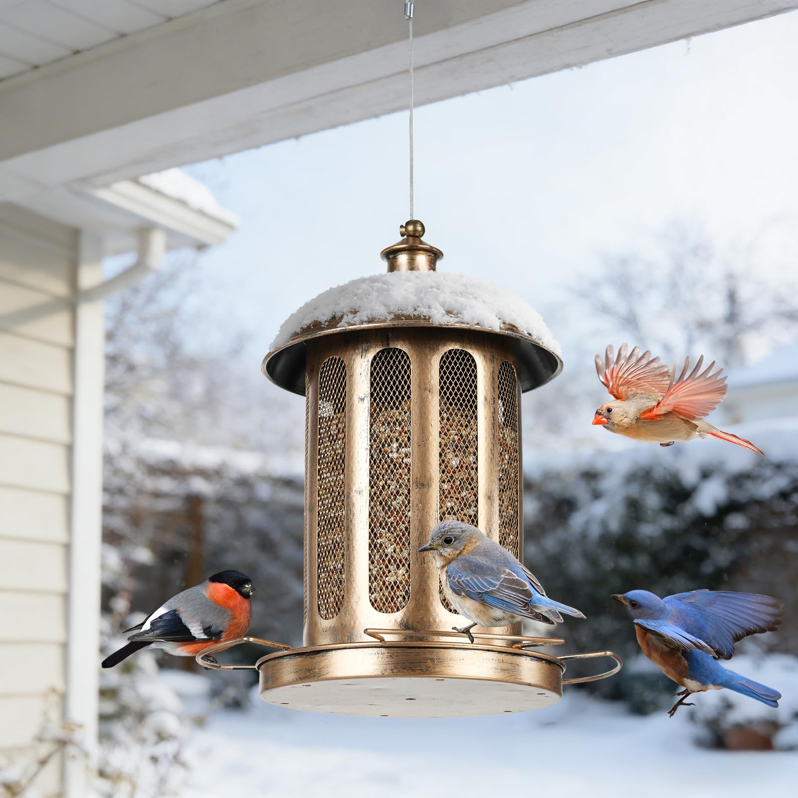IWNTWY Bird Feeder with birds feeding on perches
