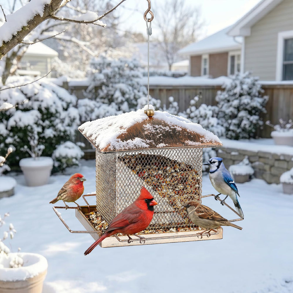 IWNTWY Bird Feeder with various seeds for backyard birds