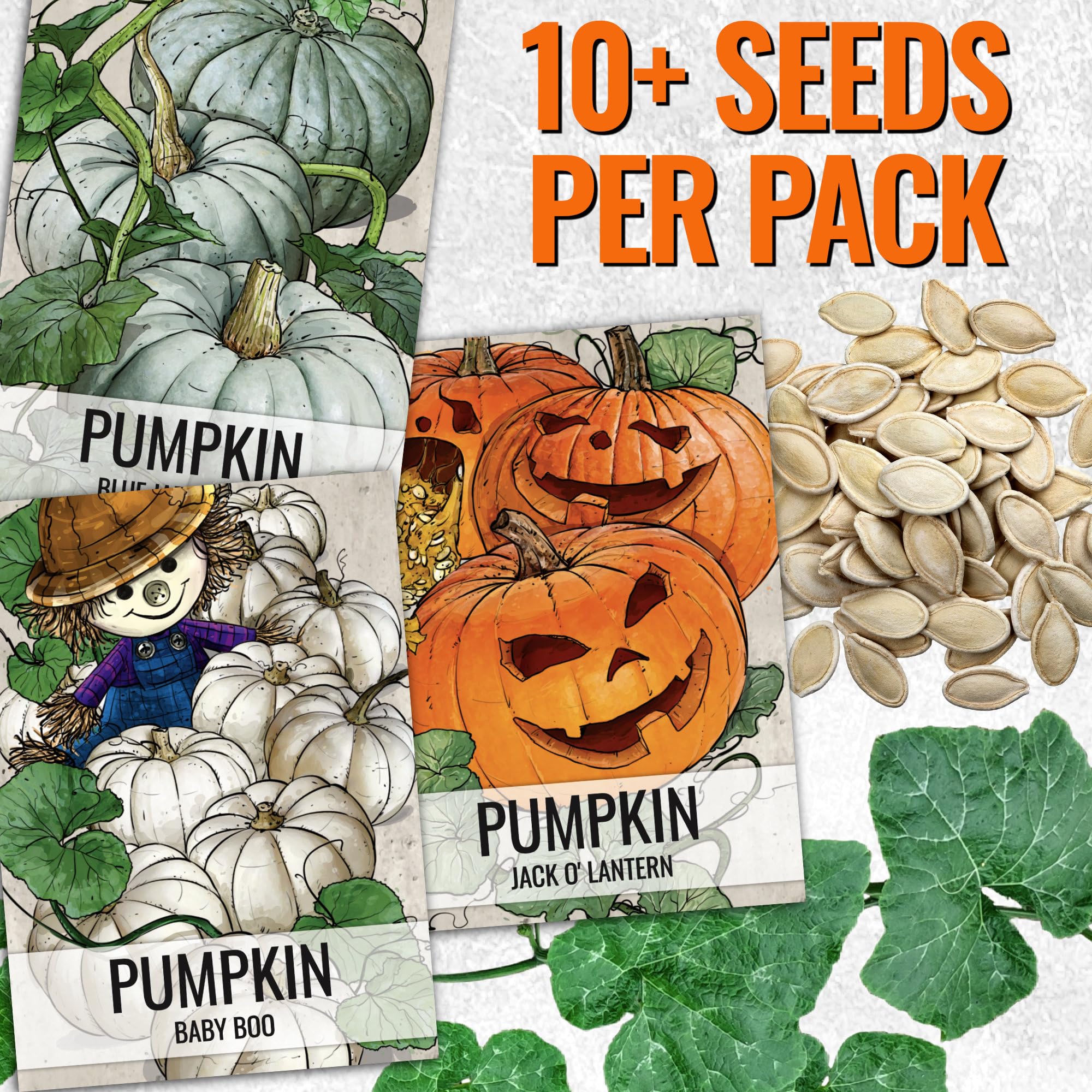 Jack Be Little and Baby Boo pumpkin seeds
