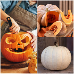 Jack O' Lantern pumpkin seeds close-up