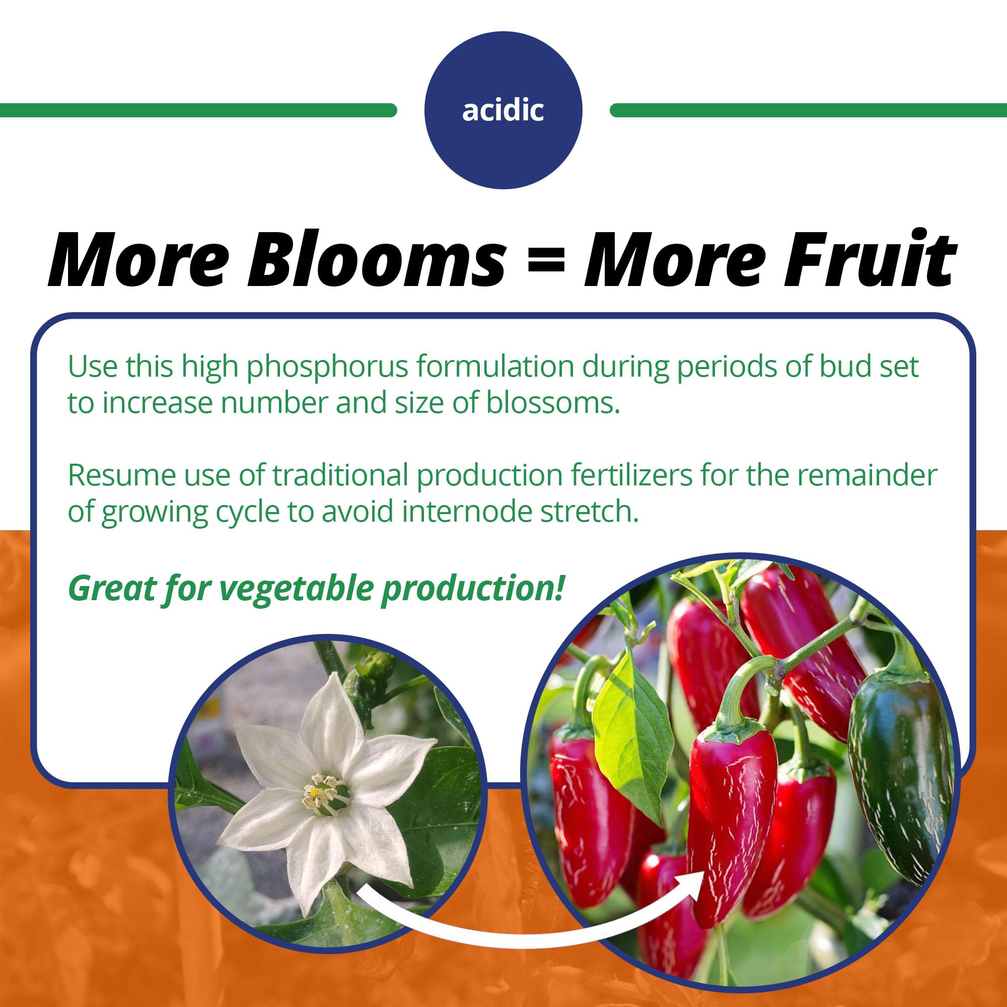 Jack's Classic Blossom Fertilizer 10-30-20 powder close-up