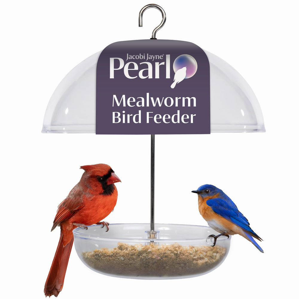 Jacobi Jayne Mealworm Feeder packaging and tray included