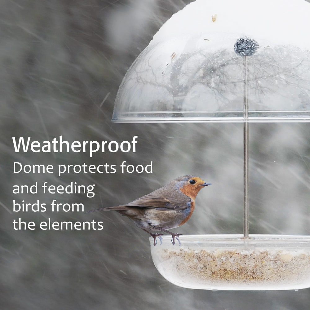 Jacobi Jayne Mealworm Feeder with adjustable dome