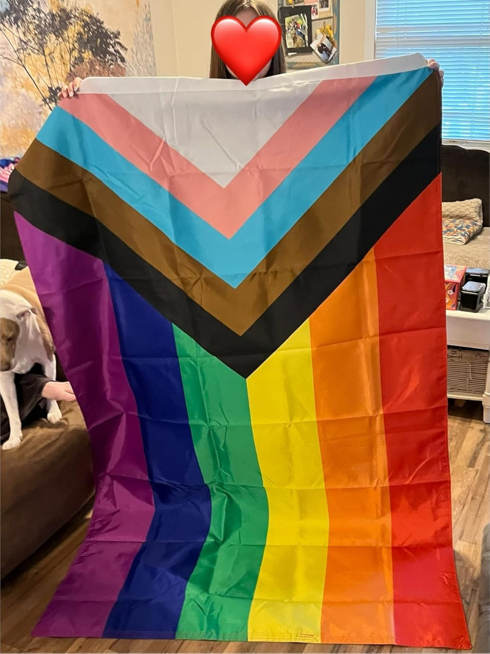 Jayus Progress Pride Rainbow Flag 4x6 FT with grommet