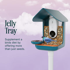 Jelly Tray of Bird Buddy Nutrition Set with space for food
