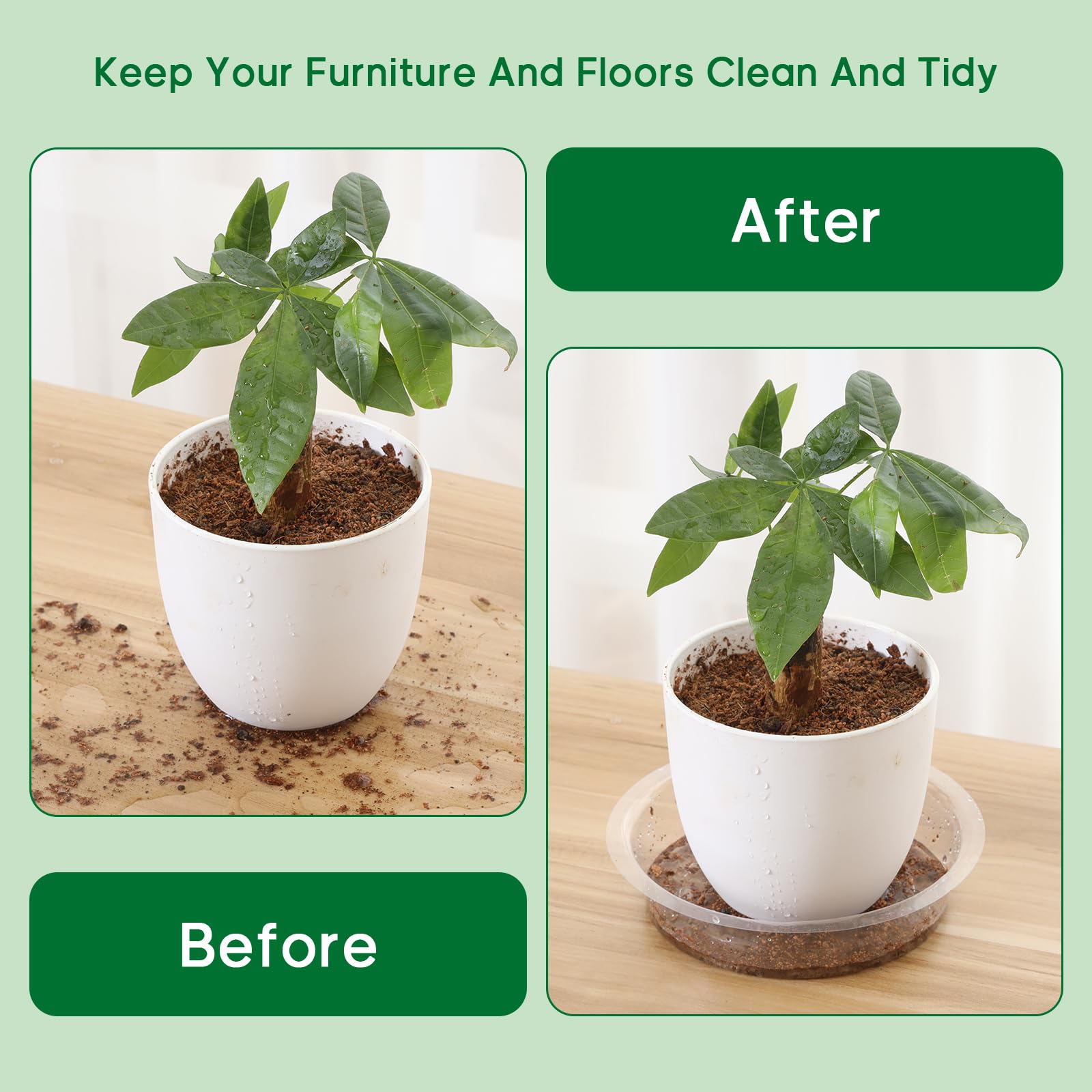 JERIA 6 Inch clear plant saucer with plants