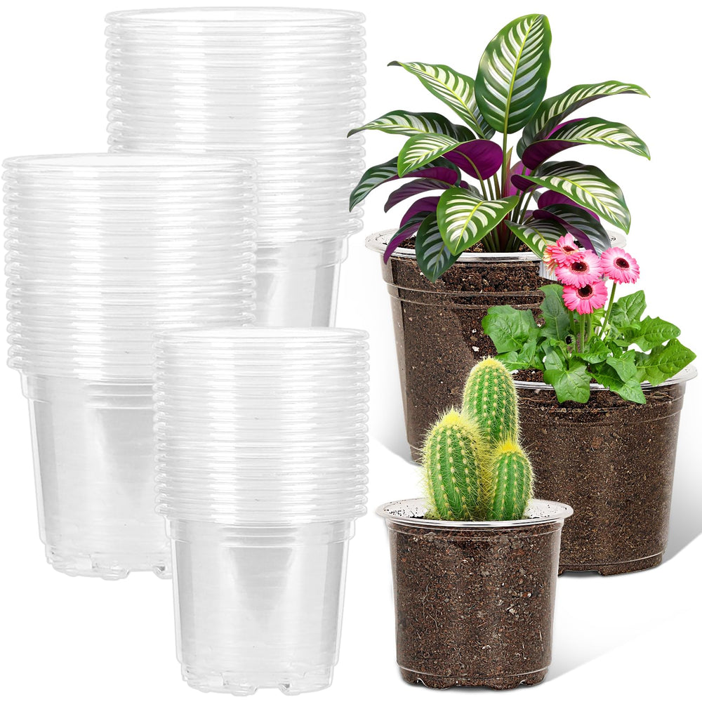 JERIA 60 Pack of clear nursery pots in various sizes