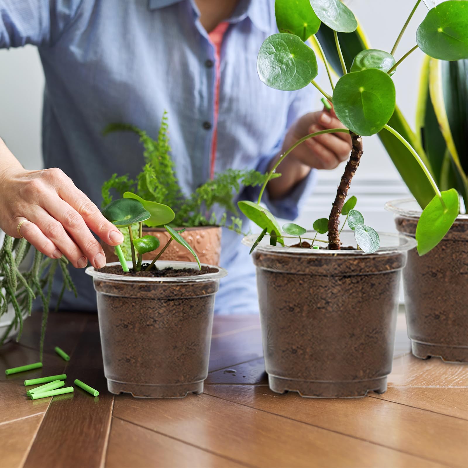 JERIA clear nursery pots in different sizes for plant variety