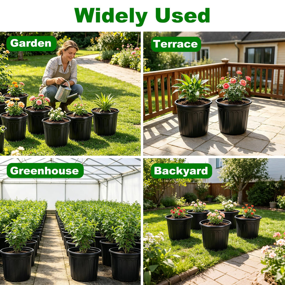 JERIA nursery pots with various small plants