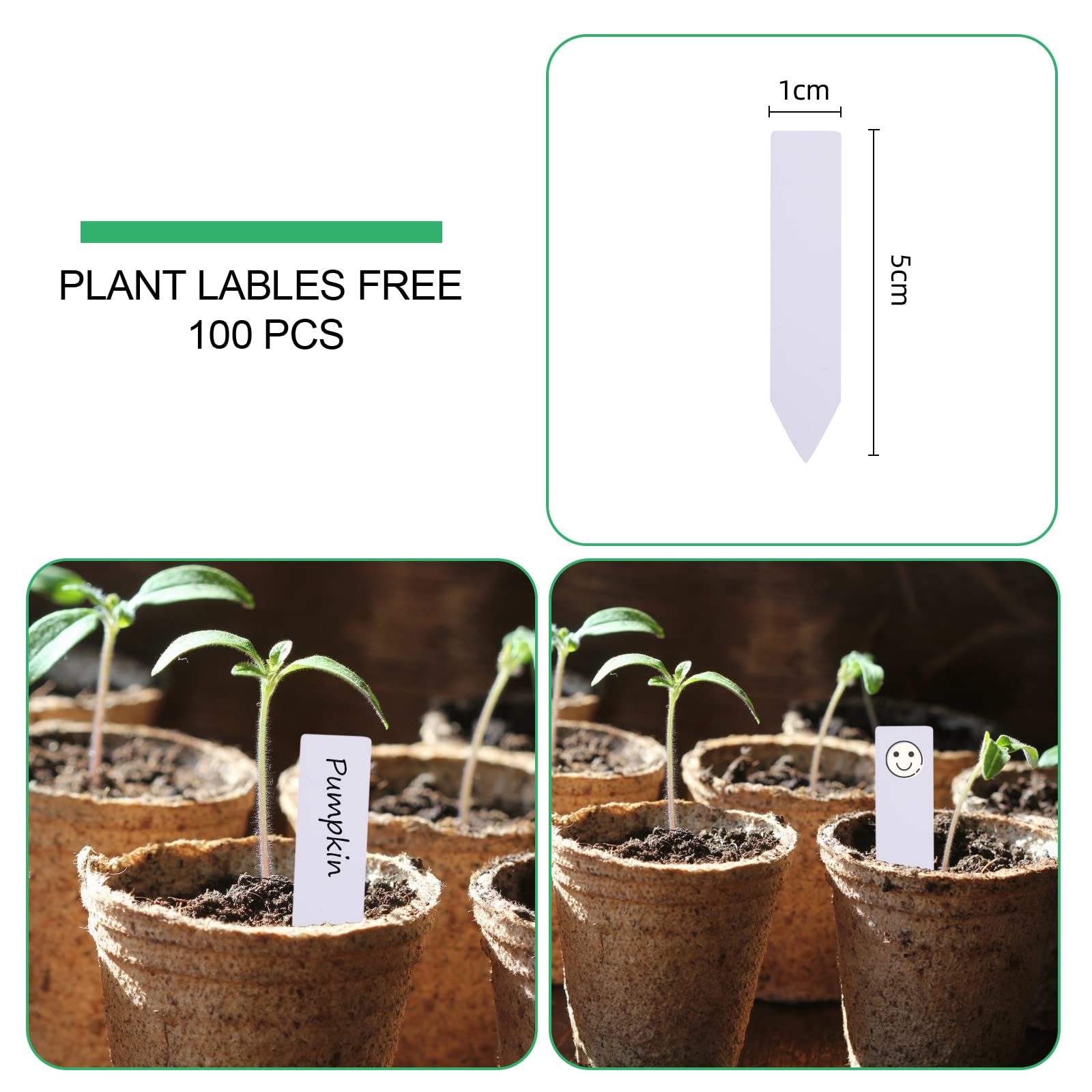 JERIA peat pots arranged with plant labels