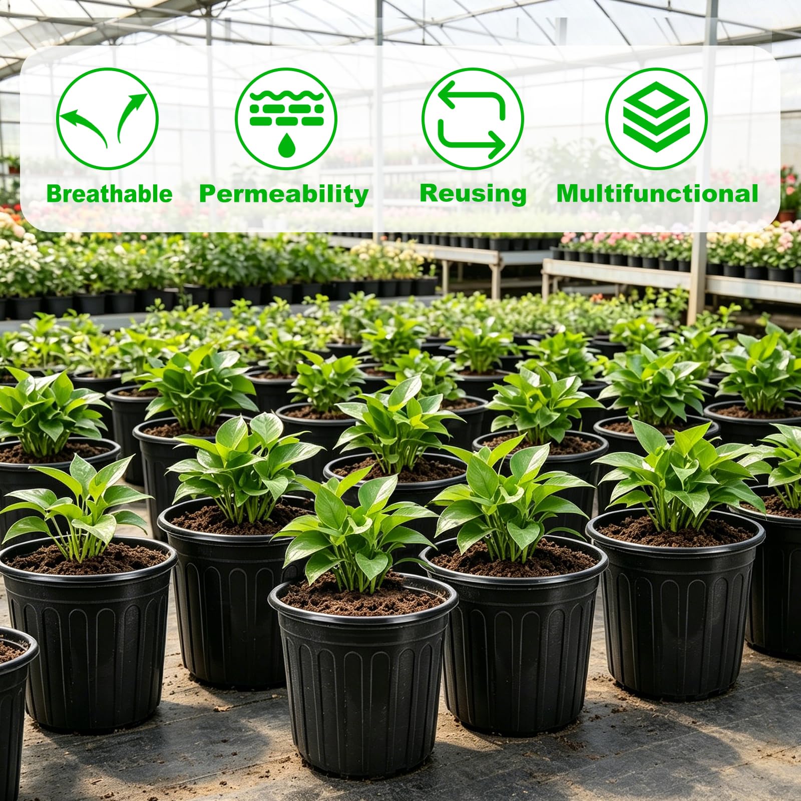JERIA plant nursery pots displayed outdoors