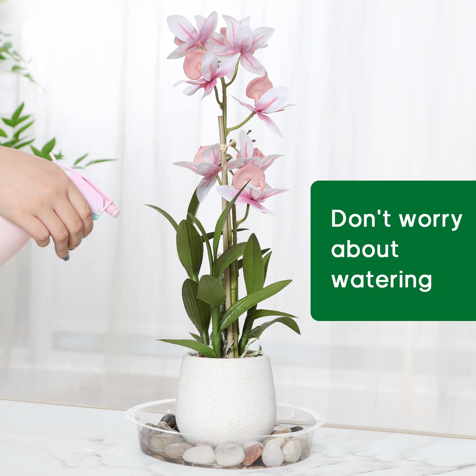 JERIA Plant Saucer holding decorative rocks