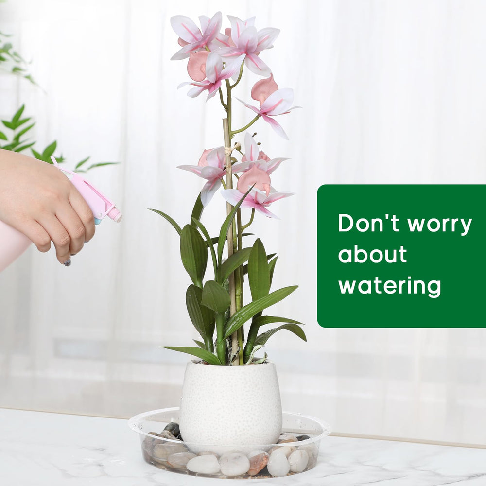 JERIA Plant Saucer holding decorative rocks