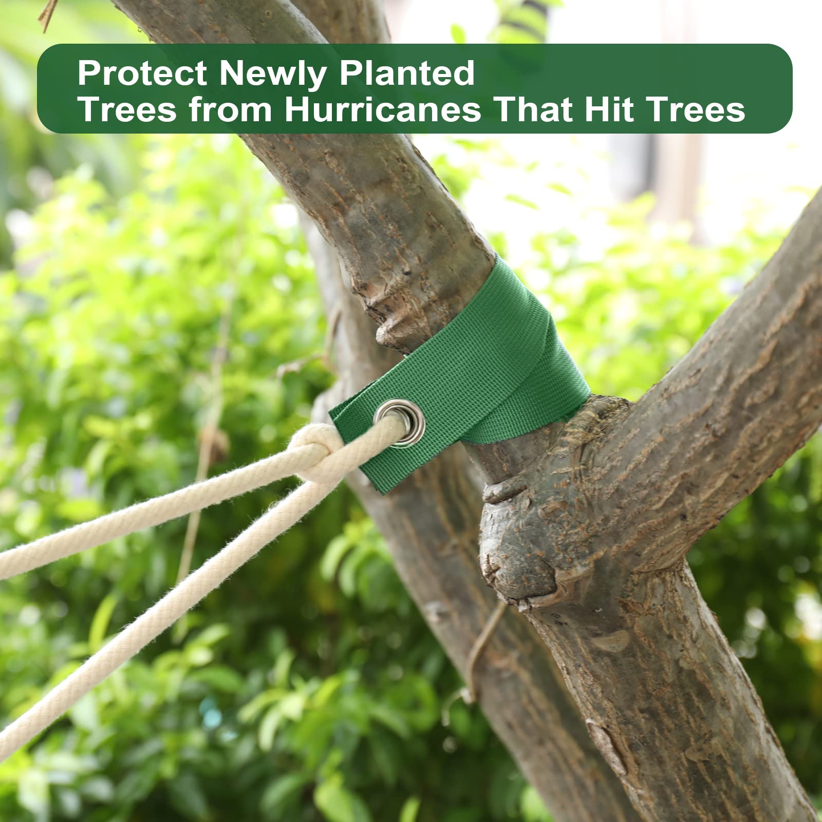 Jevrench tree straps in a garden setting