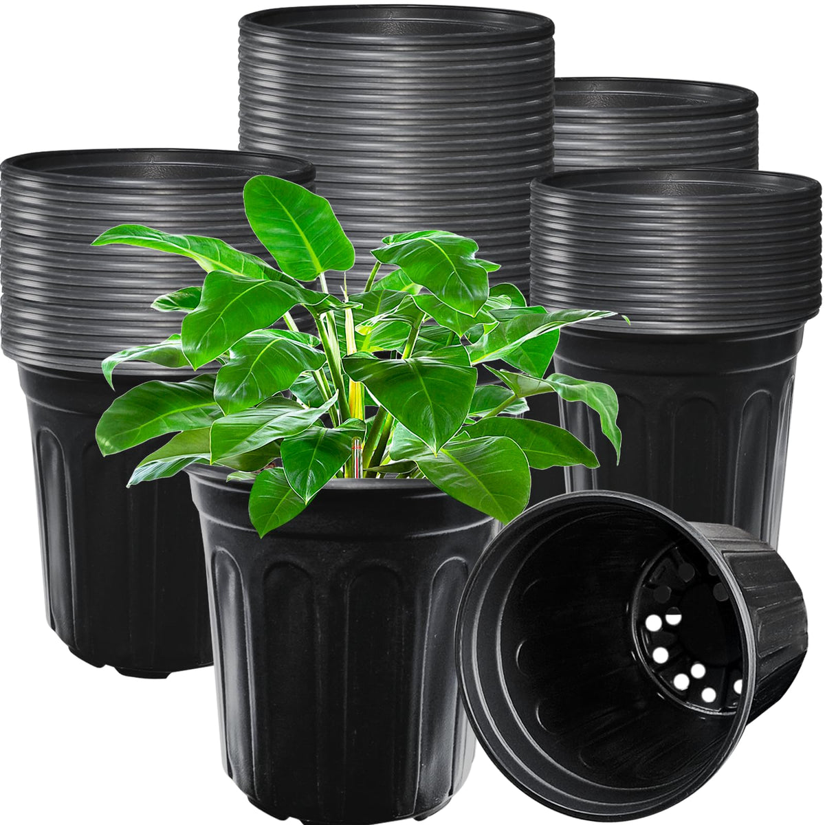 Jgalnim 1 gallon nursery pot black front view