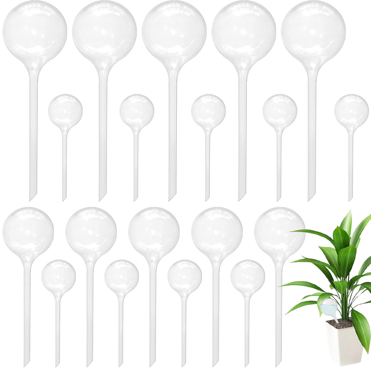 Jgalnim 20 PCS Clear Plant Watering Globes assortment of sizes