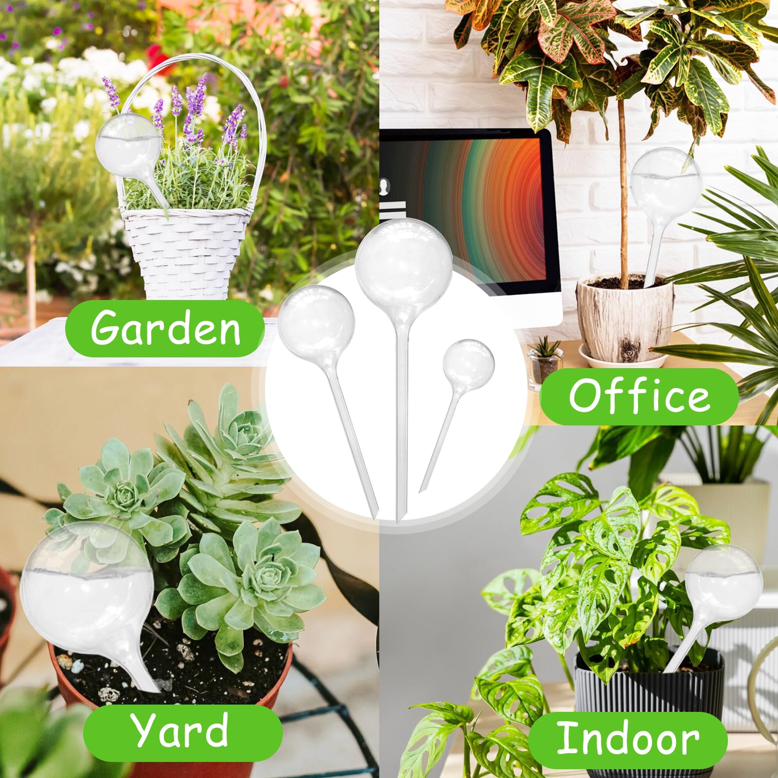 Jgalnim clear watering globes arranged aesthetically