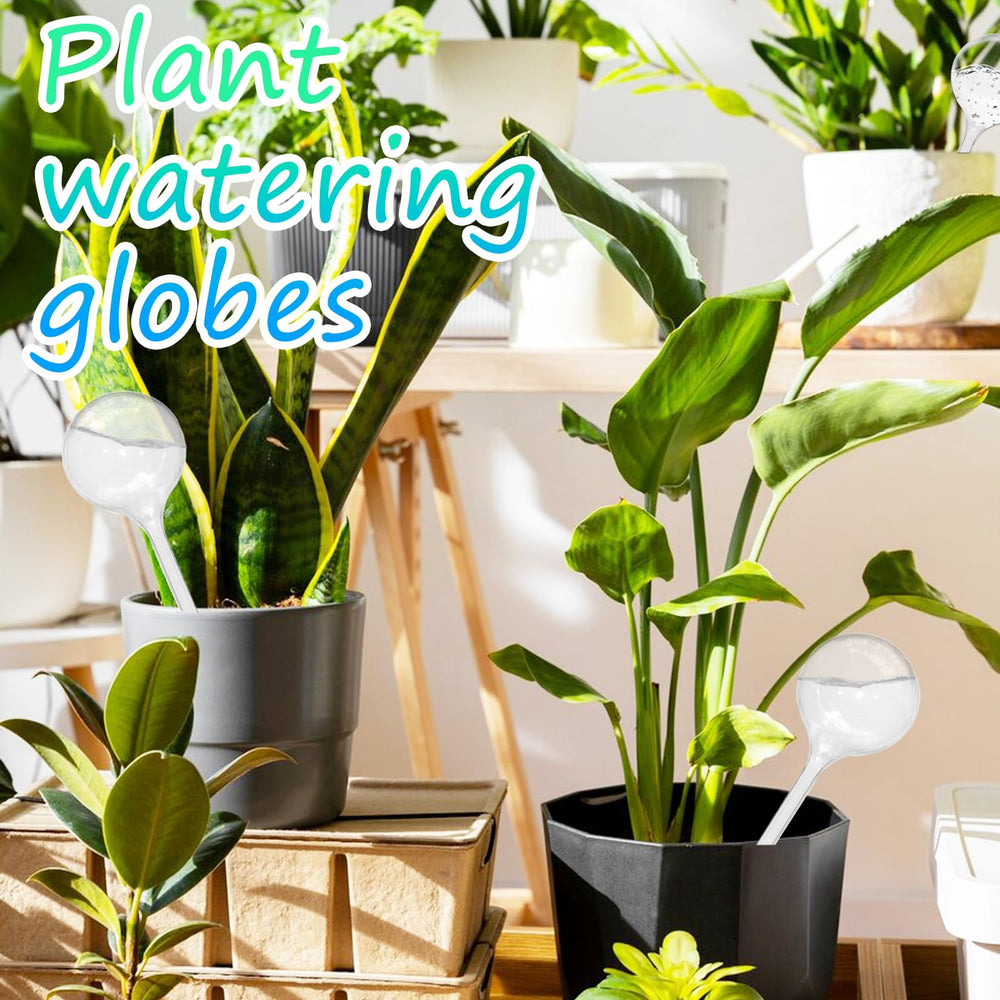 Jgalnim watering globe packaging display