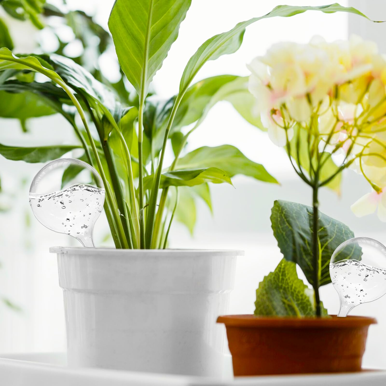 Jgalnim watering globes in use with indoor plants