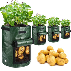 JJGoo 10 Gallon Potato Grow Bag in Green, front view