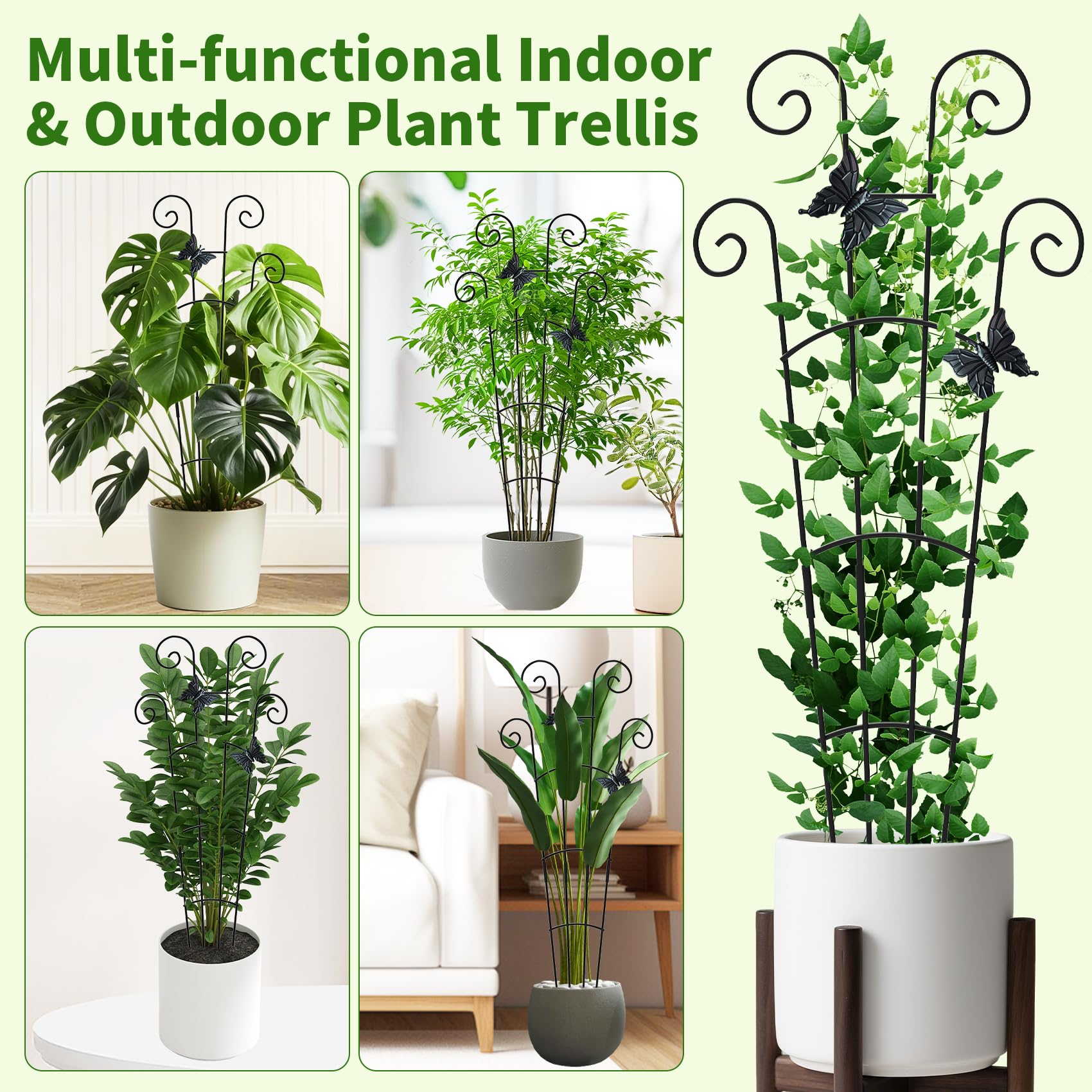 JJSHUANL trellis in a potted plant setup