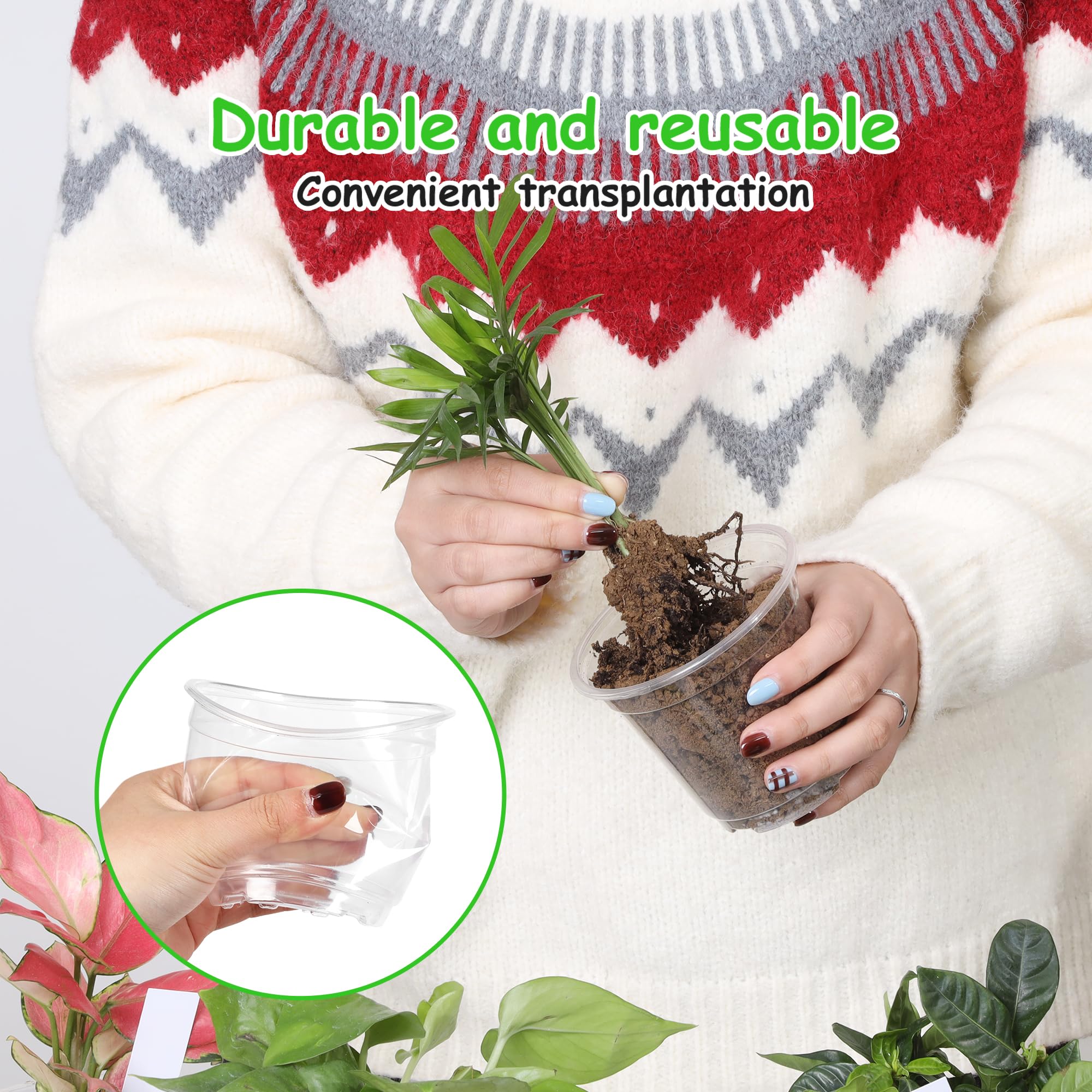 JNYONG 4 Inch Clear Nursery Pot showing drainage hole