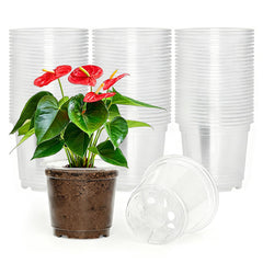 JNYONG 4 Inch Clear Nursery Pots front view