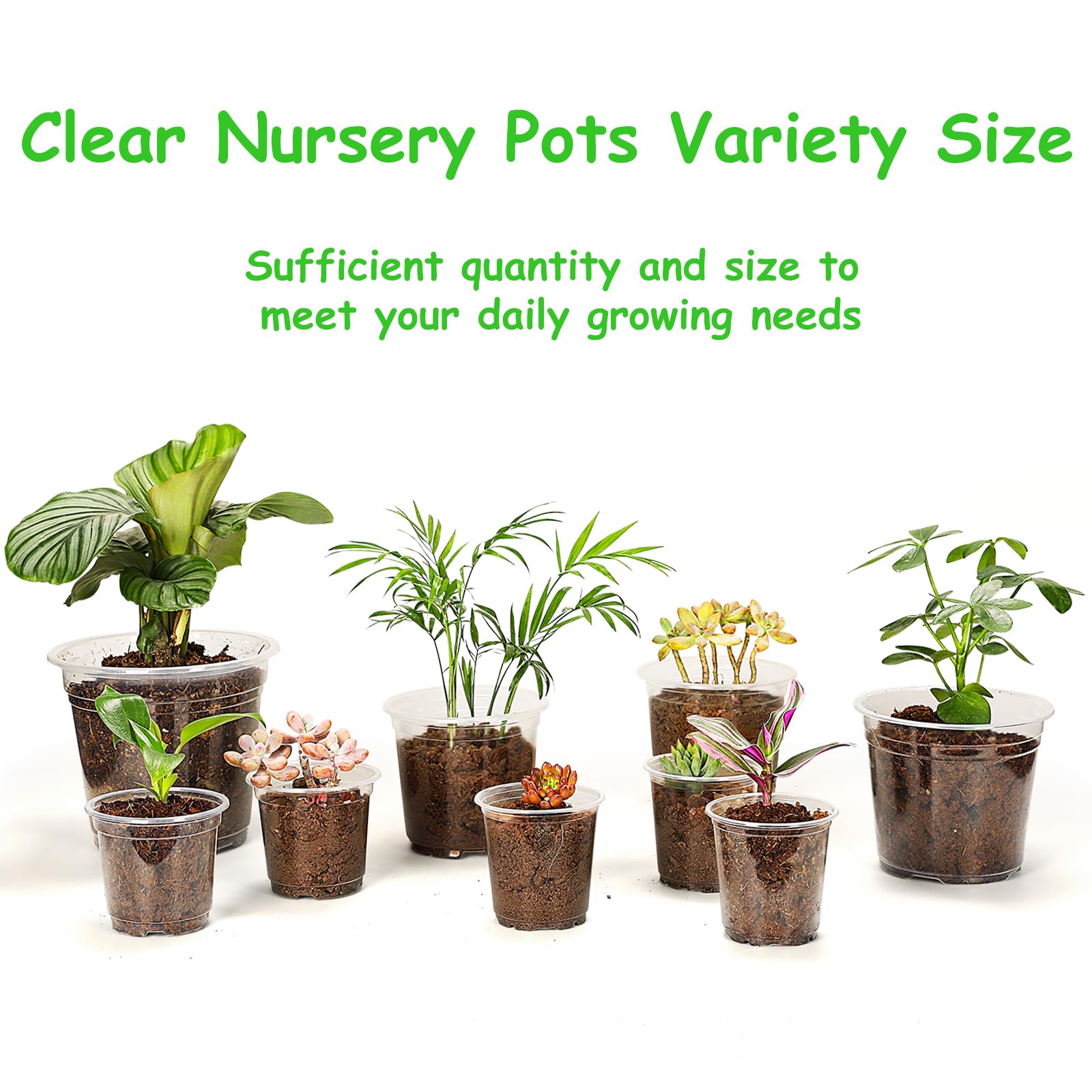 JNYONG 6 inch clear nursery pot with plants