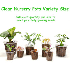 JNYONG 6 inch clear nursery pot with plants
