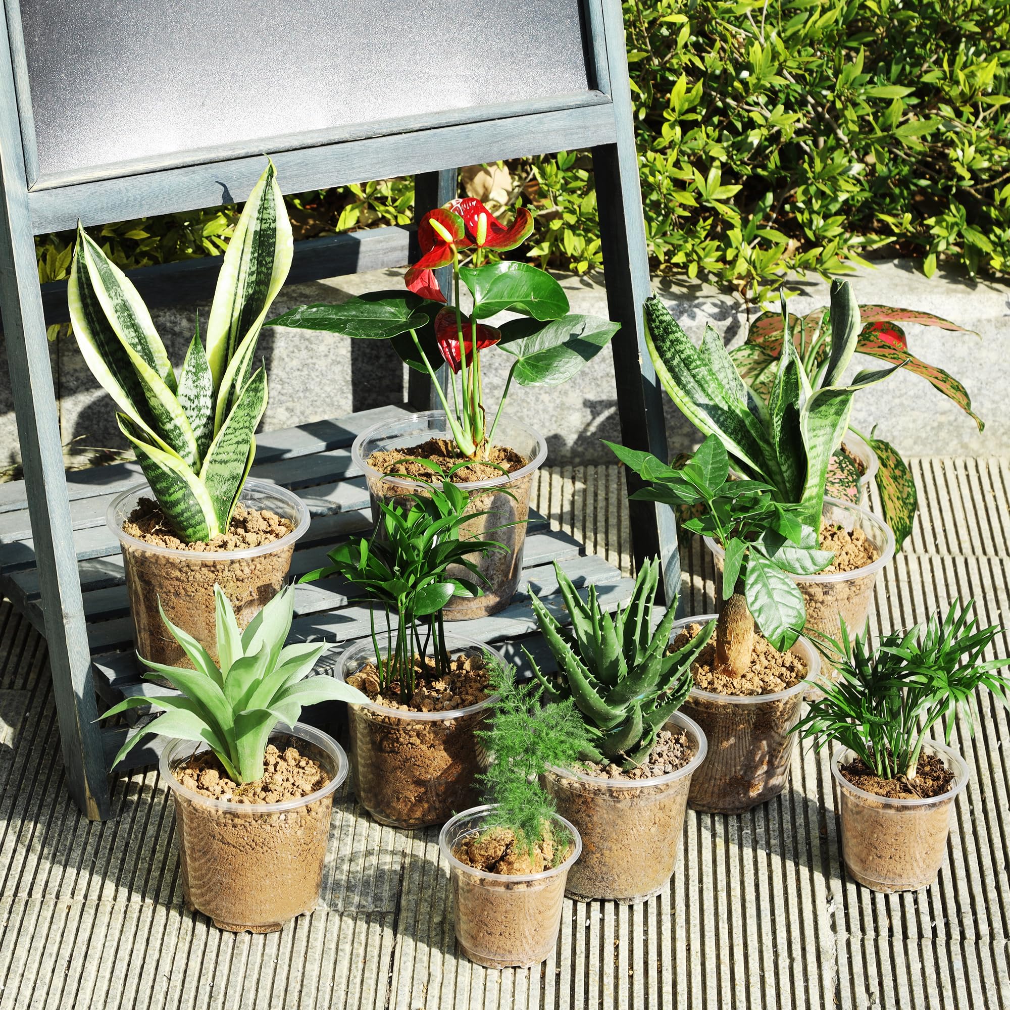 JNYONG clear nursery pots pack showing sizes