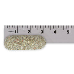Jobe's Organics Fertilizer Spikes inserted in soil around a citrus plant