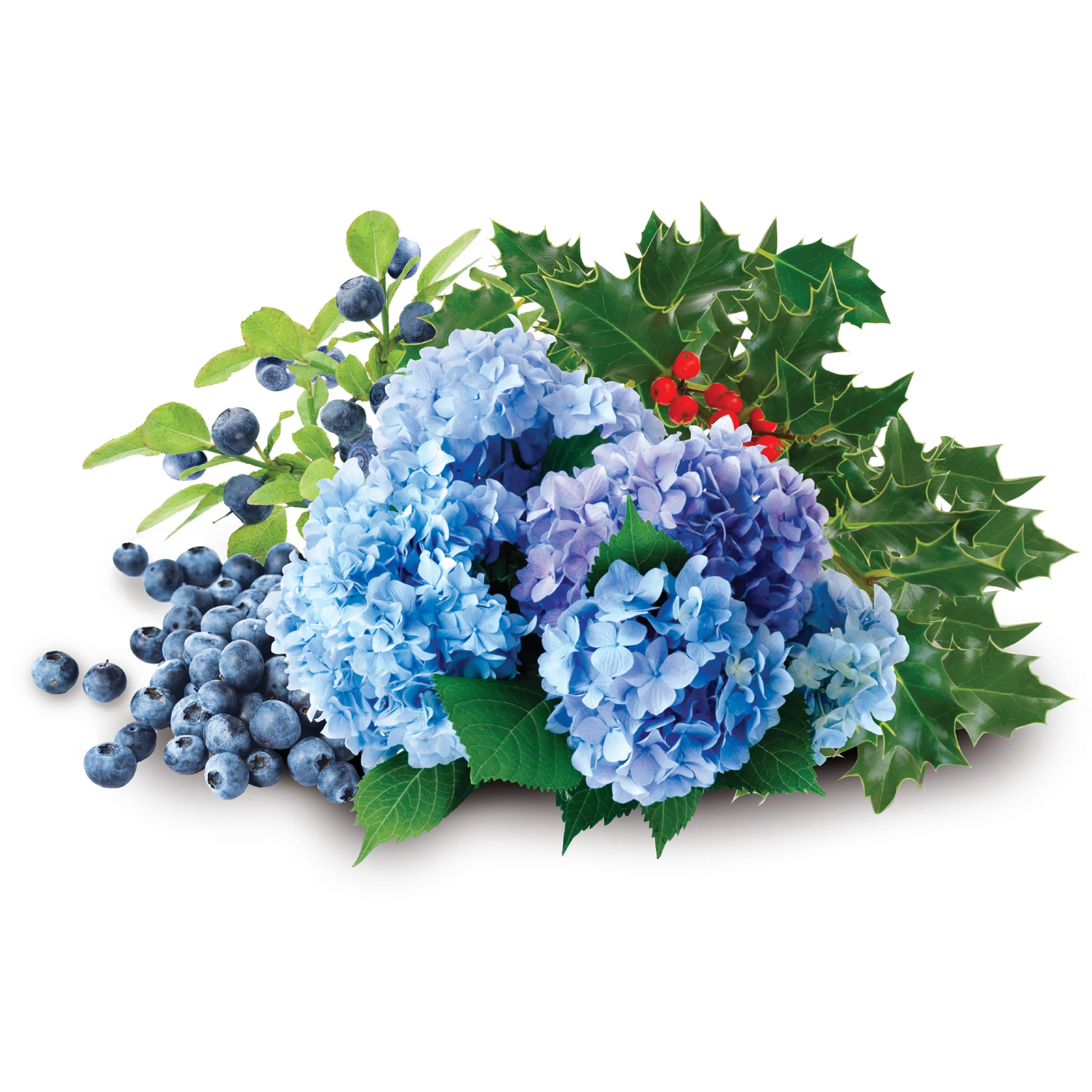 Jobe's Organics Granular Soil Amendment with blueberries and hydrangeas