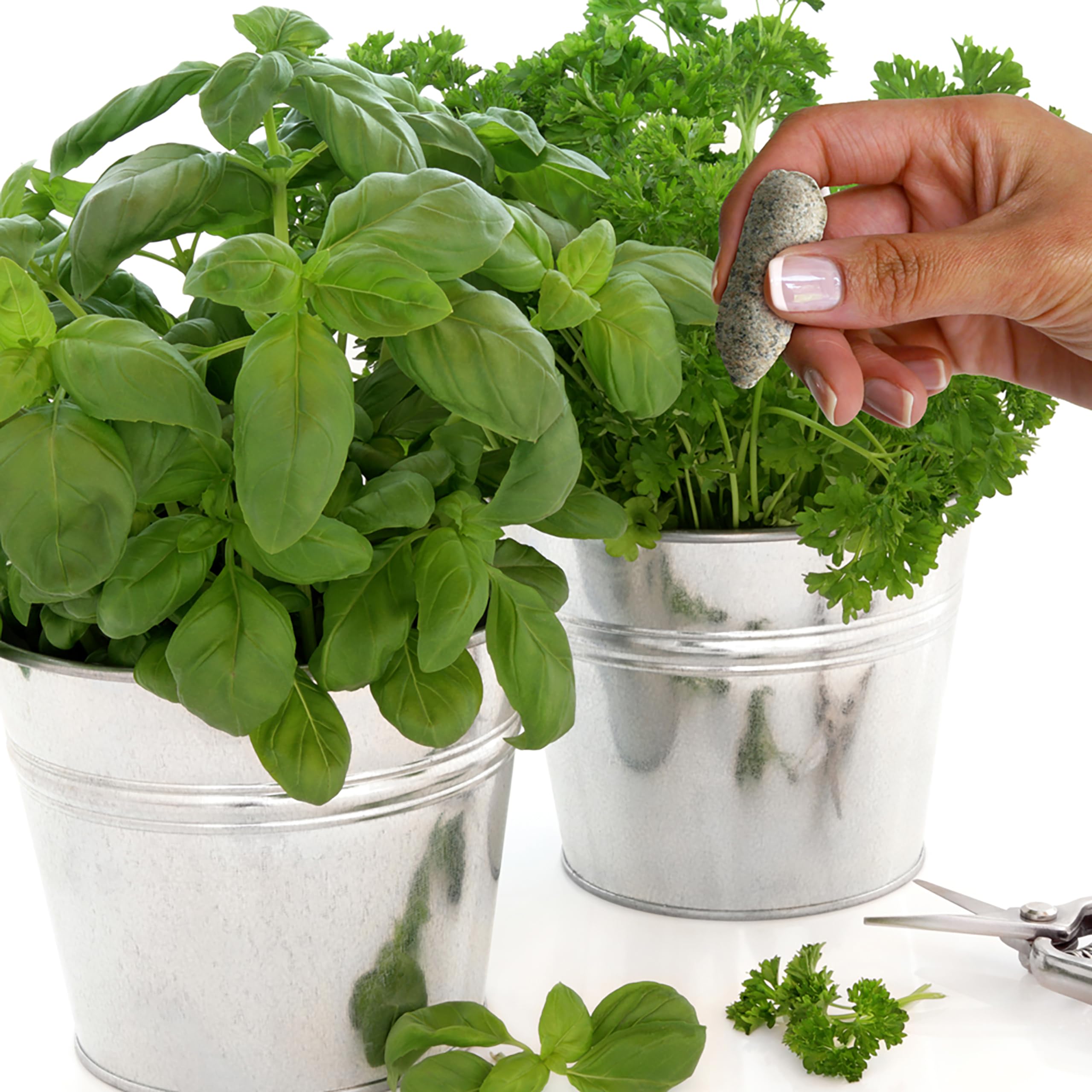 Jobe's Organics Herb Fertilizer Spikes on a kitchen counter