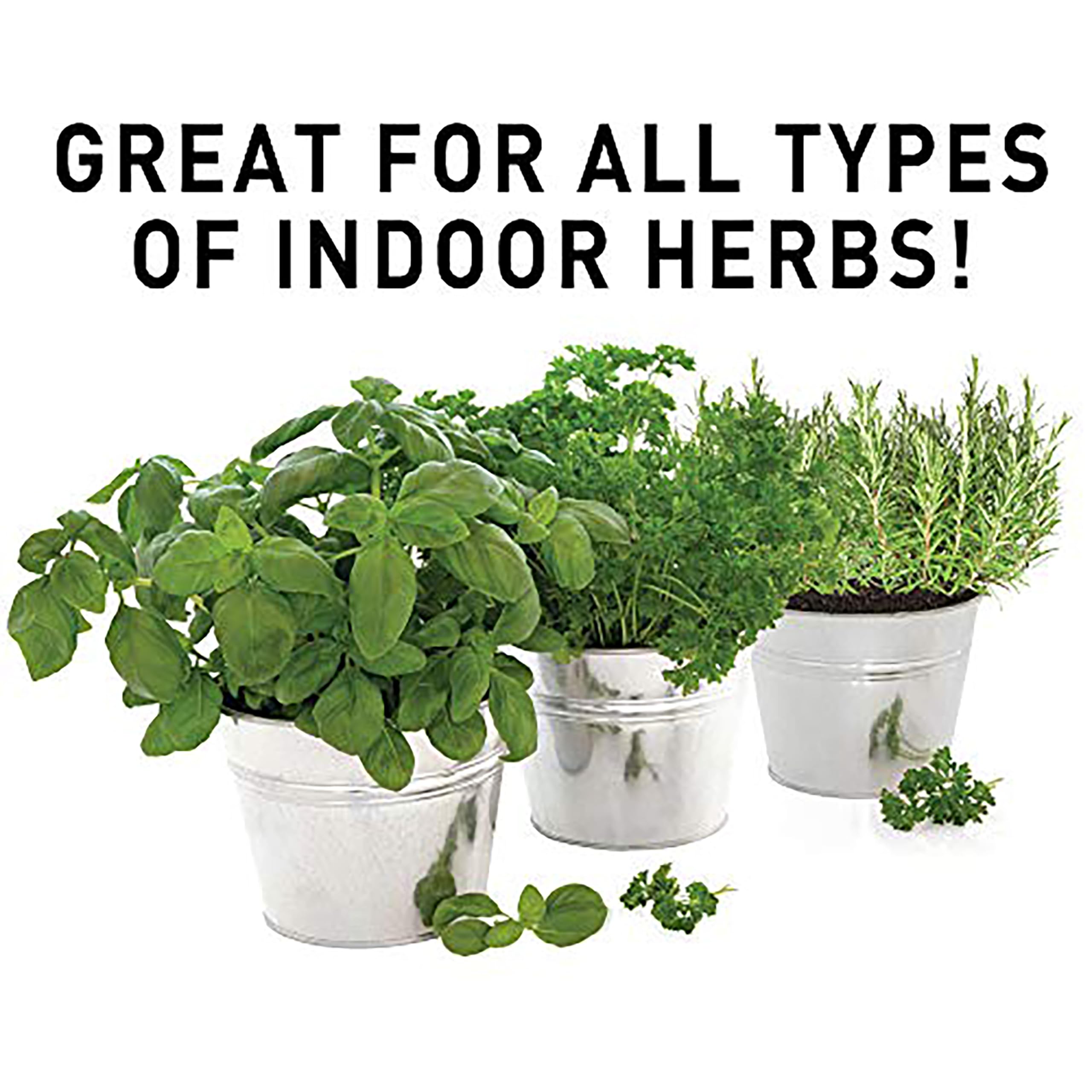 Jobe's Organics Herb Fertilizer Spikes with herbs in pots