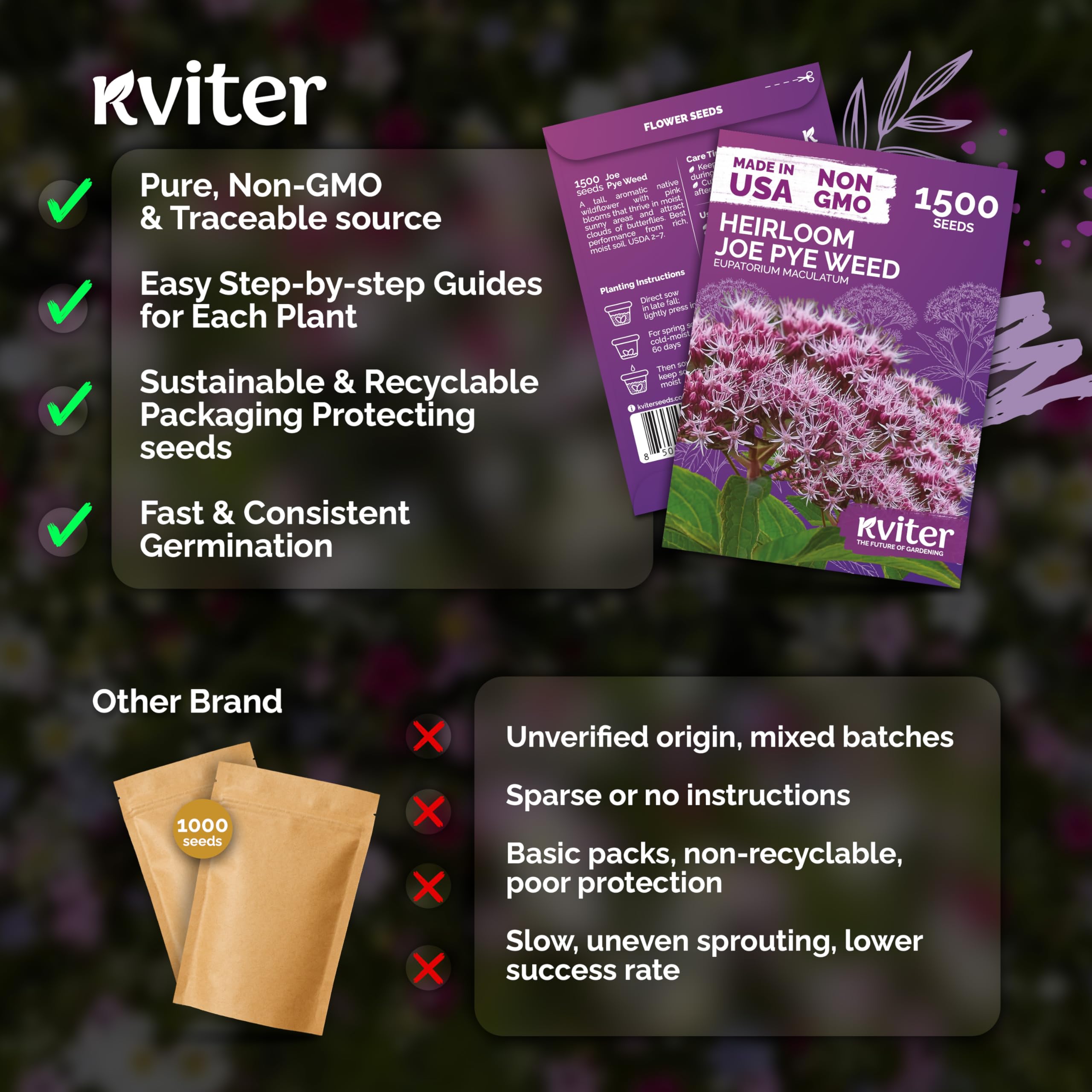 Joe Pye Weed flowers attracting butterflies in a garden