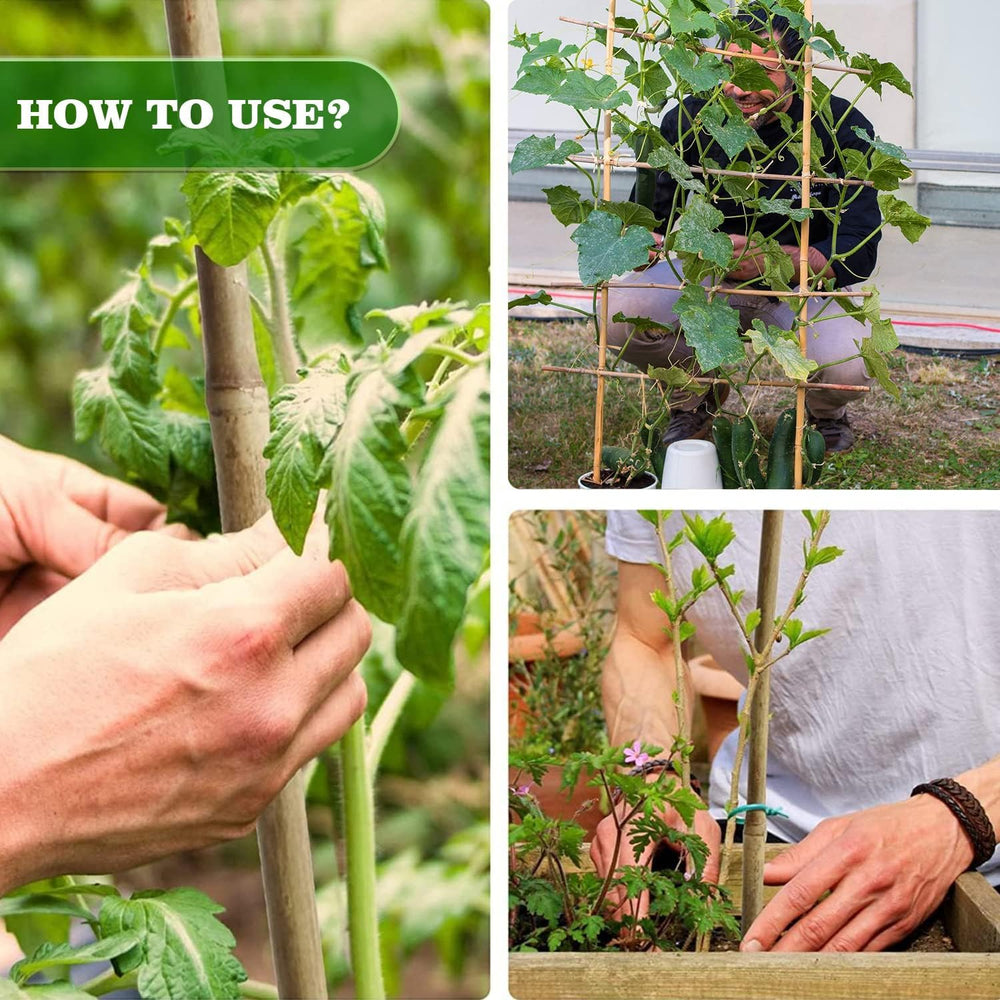 Jollybower bamboo stakes in a decorative plant setup