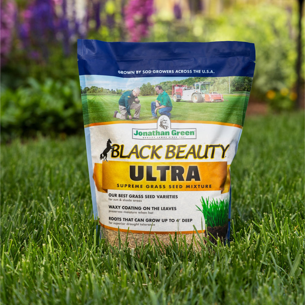 Jonathan Green Black Beauty Ultra Grass Seed on grass surface